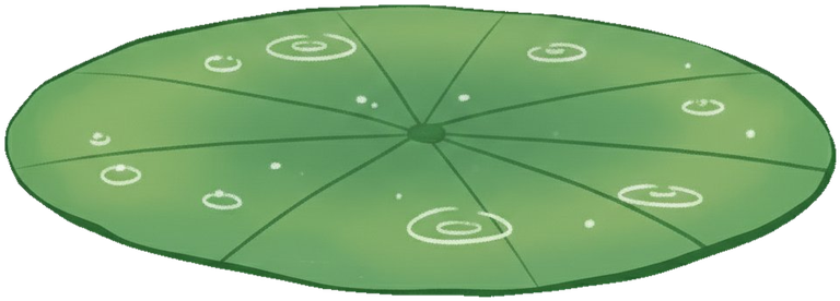 lilypad